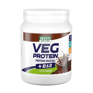 VEG PROTEIN 450g