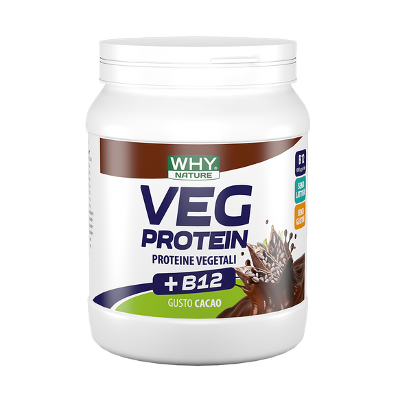 VEG PROTEIN 450g